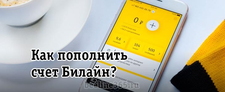 Положить деньги на телефон с карты на билайн без комиссии