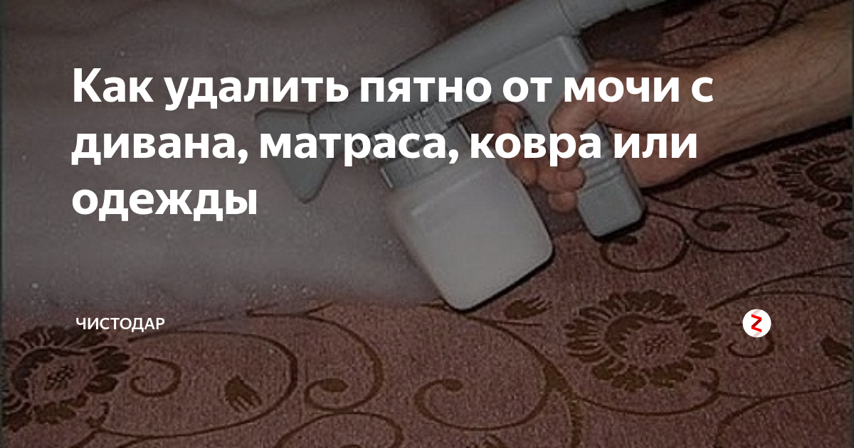 Чем убрать пятно мочи с дивана