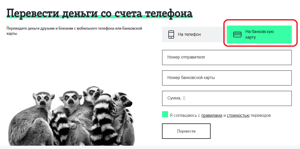 5 рабочих способов перевести деньги со счета Теле2 на банковскую карту