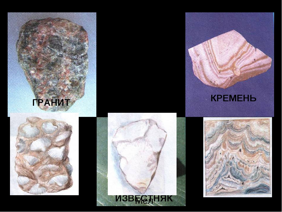 Камни гранит кремень известняк фото окружающий мир Samples Of Oil (à) And Gas Condensate (á) E64