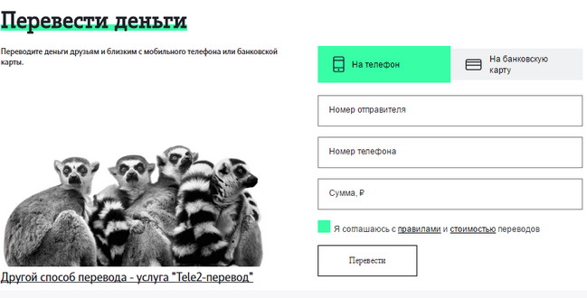 Заполните все необходимые поля