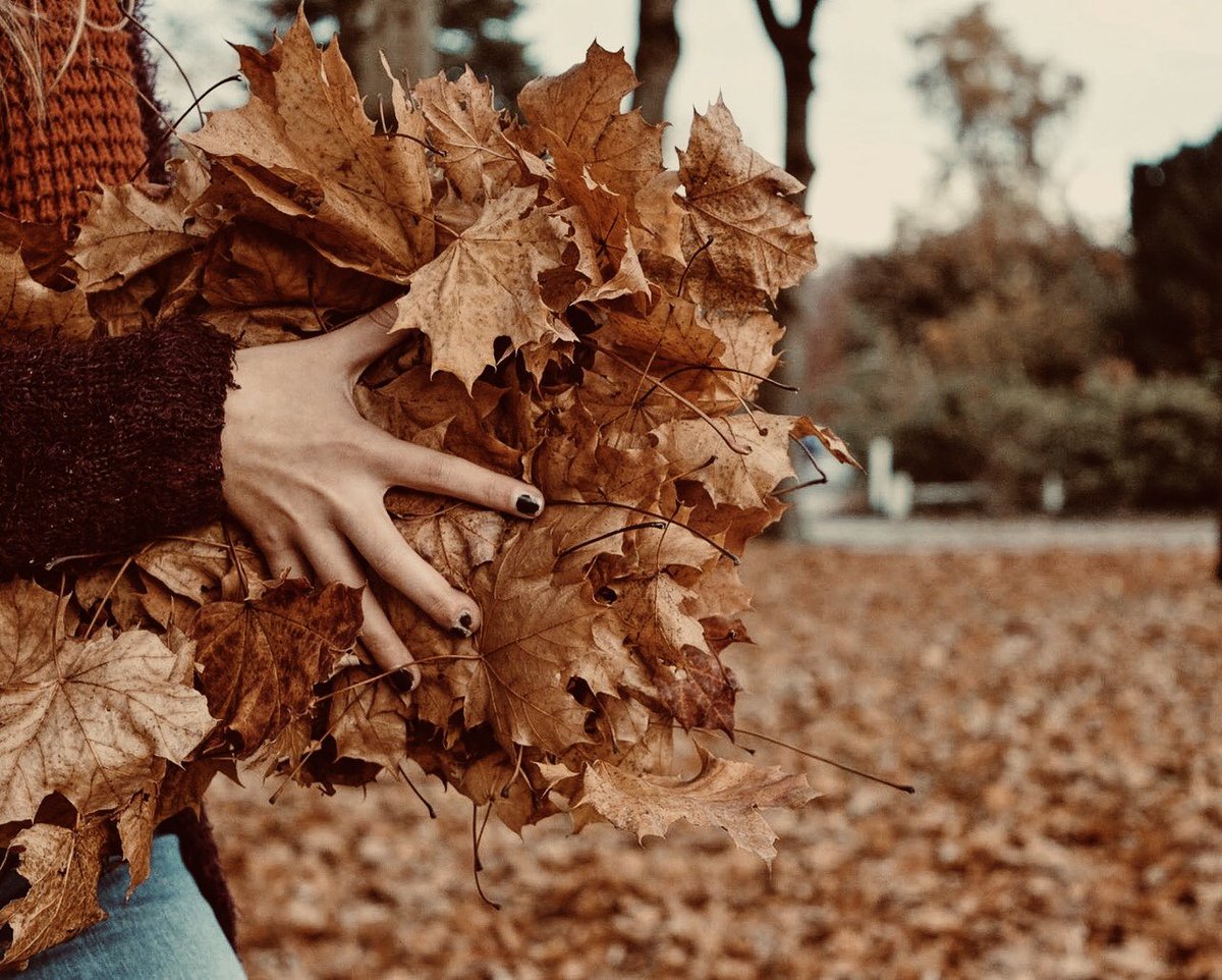 Осенние листья в руках