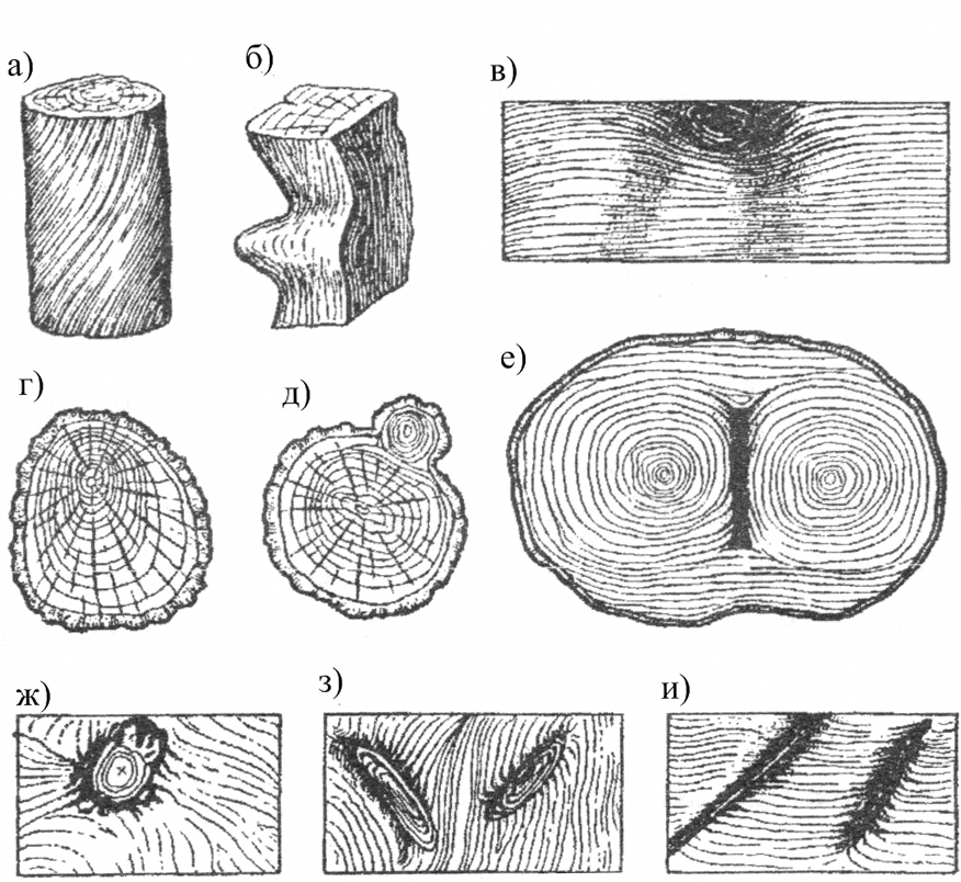 Пороки древесины картинки