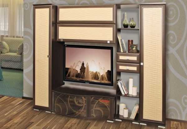 Стенка в зал со шкафом для одежды с телевизором с местом для посуды